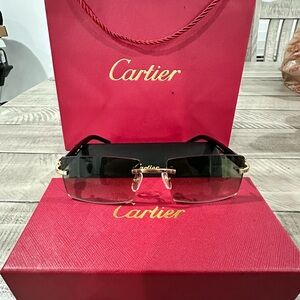 Cartier sunglasses unisex
